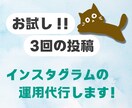 お試し3回投稿！インスタグラムの運用代行します 商品の魅力を伝えて集客UP！インスタグラム運用！リールもOK イメージ1