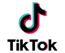TikTokフォロワー＋1万人以上増やします ⭐️ティックトック複垢振り分け可能⭐️自然に増加可能です イメージ1