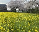 どんな話でも聞きます 小さなストレスから大きなストレスまで、溜め込まずに発散☆ イメージ1