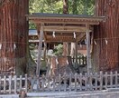 あなたの★2024年上半期の運勢★神に聴きます 新年★神からのメッセージ★上半期の開運ご祈念付き☆ イメージ3