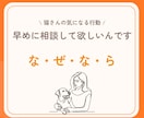 行動専門獣医師が猫の"困った行動"を解決します ★出品記念の為、初回5名まで最低価格でお受けします★ イメージ3