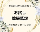 数秘・生年月日から本質・運気の流れをみます 最初の5件だけ1000円！本質と今年の運気、9年のサイクル イメージ1