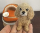 フジTVイット！出演・羊毛フェルトのペット作ります ペットちゃんとの思い出やご家族の想いもお人形に込めます イメージ3