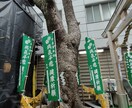 少彦名神社　 パワフルな癒しお届けします 薬、健康、癒しで名高い神社と言われています イメージ2
