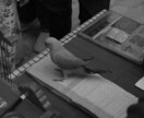 静かな人生整理セッションであなたの悩み改善します 原因を特定し、同じことを繰り返さない安定した状態に導きます イメージ1