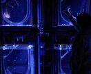 O実績作り特別価格O 思い出写真撮ります 心に響くエモい瞬間。友達・家族・デート写真はお任せください！ イメージ3