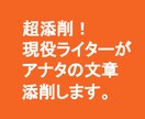 超添削！現役ライターがアナタの文章添削します 不採用記事にはワケがある！致命的原因を洗い出して修正します。 イメージ1