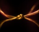 守護霊鑑定◎あなたを見守る存在を視ます 北方の技法で、あなたに寄り添う守護の存在を視ます イメージ8