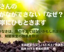 言葉と学びの専門家が学びのコツをお教えします 言語聴覚士・ST養成校現役講師・特別支援教育士が学び方を提案 イメージ1