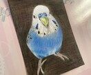 オーダーメイド色鉛筆画　世界に一つの原画になります 愛鳥や野鳥を色鉛筆でひと塗りひと塗りリアルに仕上げます。原画 イメージ1