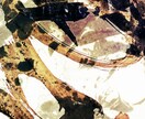 できるだけ欲しい画像に寄せて作ります こんなんで良かったらよろしくお願い申し上げます。 イメージ1