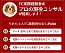 店舗改善！売上向上施策ご提案します サイト改善講座 / 楽天 Amazon ヤフー 自社サイト イメージ2