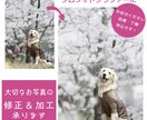 プロフォトグラファーが自然に美しくレタッチします 大切な写真をより美しく！気になる点を修正、加工いたします！ イメージ1