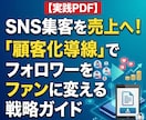 SNS集客「顧客化導線」支援します 【実践マニュアル】フォロワーをファンに変える戦略ガイド イメージ1