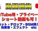 縦動画も可！動画編集を承ります カット作業、テロップ入れ、効果音BGM入れ、お任せください！ イメージ1