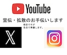 お試し：貴方のX（Twitter）宣伝・拡散します 多国籍登録300人・閲覧し評価300件などを選択し宣伝します イメージ1