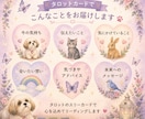 アニマルタロットでわが子の気持ちを読み解きます カードを使って愛するわが子からのメッセージをお伝えします イメージ3