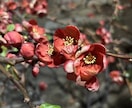 正論はいりません。気持ちをそのまま聞きます 誰にも言えない悩み、否定せずに聞きます。 イメージ2