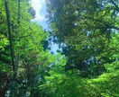 天職を診断します 魂にはまる仕事、心が喜ぶ働き方を見つけませんか？ イメージ1