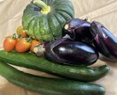 主治医から詳しい食事指導を受けられる方法を教えます より詳しい指導を受けられるようポイントのアドバイスをします。 イメージ1