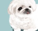 あなたのペットの絵を描きます 可愛い家族の絵はいかがですか？ イメージ4