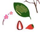 シンプルで緩くてポップなイラストお描きします ゆるくてふわふわした感じのイラストを一所懸命頑張って描きます イメージ7