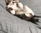 なにがなんでも褒めちぎります 嫌なことがあったり、恋人にフラれた時に イメージ1