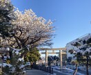 鎌倉に住みたい！という方へ、役立つ情報ご提供します 住む前に知っておくべき情報がたくさんあります！ イメージ3