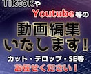 よくある【ごく一般的な】動画編集をご提供いたします 安く済ませたいけど、良クオリティにして欲しい方、おすすめです イメージ1