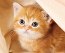 ヘルスケアカウンセラーから健康相談を受け付けます 体と心を両方ともケアしてあげます。 イメージ2
