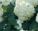 陰謀論！の熱いトークお相手致します 未接種者の憂鬱、世間からの孤立、思いにそっと寄り添います。 イメージ3