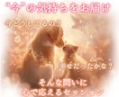 アニマルコミュニケーション/大切な子とお話しします ペットの気持ちをお伝えします♡お空の子も大丈夫です☆ イメージ3