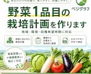 野菜1品目の栽培計画を作ります 地域と環境に合わせ播種から収穫まで具体化します イメージ1