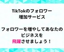 TikTokフォロワー1,000人～増やします TikTokフォロワー1000以上でライブ配信機能解放！ イメージ2