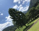 あちこちに出かけて撮影した写真を提供します 自然、動物、遊びが大好きです私が出逢った景色を観て下さい イメージ3