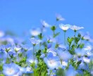 とっても優しい看護師が３分聞いて！に寄り添います 家に帰ってもひとりぼっち。さびしい気持ちを全力で受け止めるよ イメージ6