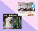 2,500円！修正無制限！バナー制作します 「伝えたいことが伝わるバナー」丁寧ヒアリングで制作します！ イメージ3
