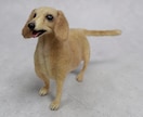 大切な愛犬さんをお作りします 世界にたった一つ♡うちのコ羊毛フェルト♡ イメージ7
