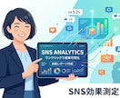 SNS担当者必見！自動でインサイトデータ集計します ワンクリックでデータ集計&分析レポート即時更新！ イメージ1