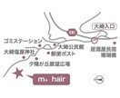 ひと目でわかる地図作成いたします チラシやウェブなどに掲載する地図をお探しの方へ(英語可） イメージ4