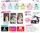 ショート動画を見やすく魅力的に編集します TikTok・リール・Shorts向け縦動画を編集します イメージ2