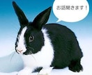 少しの時間でも、嫌なこと、なんでも話聞きます 辛いことあったらどんどん話してください！ イメージ1