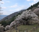 老人ホーム探しのお手伝い、ご相談承ります 老人ホーム探しは、みんな初めてからスタートします。 イメージ1