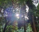 人間だもの色々あります。愚痴だって言いたくなります 愚痴を吐き出してスッキリしましょう！ イメージ1