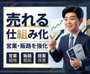 現役部長が「売れる仕組み」を伝授します 家電量販歴代最高実績の営業戦略で、あなたの販路を拡大 イメージ1