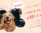 しつけ教室より気軽に♪犬のプロが電話サポートします 数多くの犬と向き合ったプロが愛犬との穏やかな暮らしを応援！ イメージ1