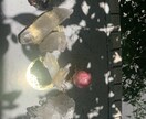 ハイヤーセルフ【Yes,No】メッセージ伝えます 今すぐ知りたい方へ。ハイヤーセルフが即答で迷いを断ちます イメージ2