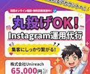 任せるならプロに！Instagram運用代行します SNSのプロがインスタ強化！集客・採用・フォロワー獲得を支援 イメージ1