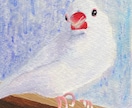 ペットの小鳥さんの似顔絵イラスト描きます かわいい我が子を一枚一枚手描きのアクリル画で残しませんか？ イメージ2