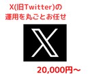 X(旧Twitter)の運用を丸ごと代行します めんどくさいSNS運用を簡単丸投げ イメージ1